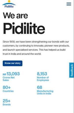 Pidilite — website screenshot